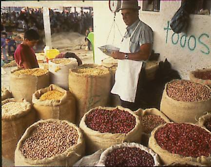 BEANS FOR SALE IN OPEN SACKS