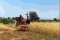 MECHANICAL HARVESTER