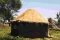 STRAW STACKS AROUND THE THRESHING FLOOR