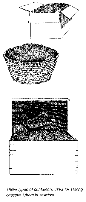STORAGE SYSTEMS FOR FRESH CASSAVA ROOT (10KB)