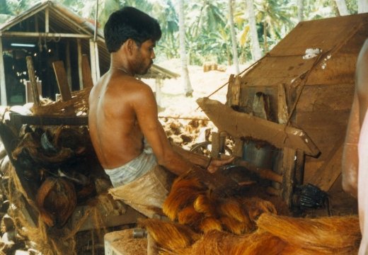 MECHANICAL EXTRACTION OF THE COCONUT HUSK 